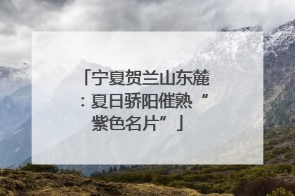 宁夏贺兰山东麓：夏日骄阳催熟“紫色名片”