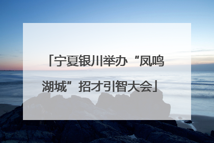 宁夏银川举办“凤鸣湖城”招才引智大会