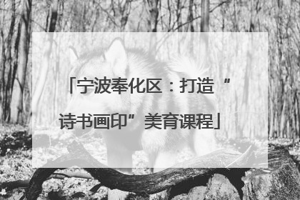 宁波奉化区：打造“诗书画印”美育课程
