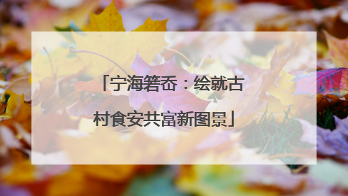 宁海箬岙：绘就古村食安共富新图景