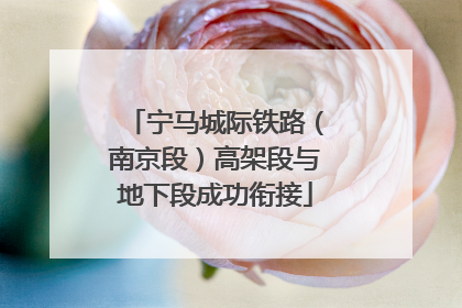 宁马城际铁路（南京段）高架段与地下段成功衔接