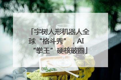 宇树人形机器人全球“格斗秀”，AI“拳王”硬核破圈