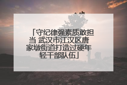 守纪律强素质敢担当 武汉市江汉区唐家墩街道打造过硬年轻干部队伍