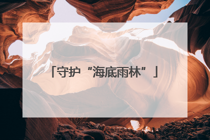 守护“海底雨林”