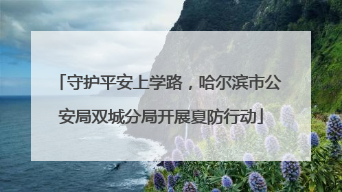 守护平安上学路，哈尔滨市公安局双城分局开展夏防行动