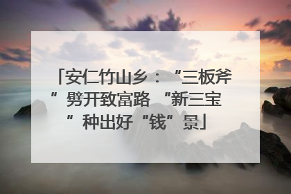 安仁竹山乡：“三板斧”劈开致富路 “新三宝”种出好“钱”景