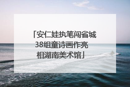 安仁娃执笔闯省城 38组童诗画作亮相湖南美术馆