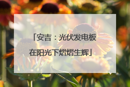安吉：光伏发电板在阳光下熠熠生辉