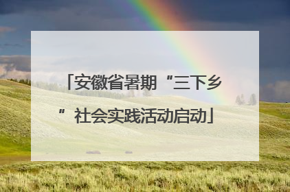 安徽省暑期“三下乡”社会实践活动启动