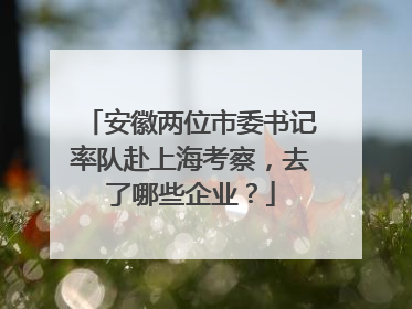 安徽两位市委书记率队赴上海考察，去了哪些企业？