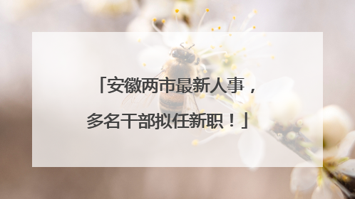 安徽两市最新人事，多名干部拟任新职！