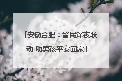 安徽合肥：警民深夜联动 助男孩平安回家
