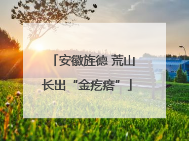 安徽旌德 荒山长出“金疙瘩”