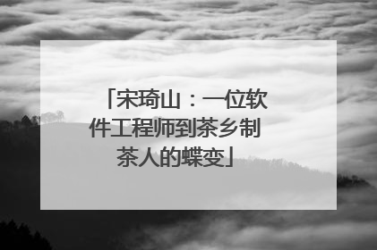 宋琦山：一位软件工程师到茶乡制茶人的蝶变