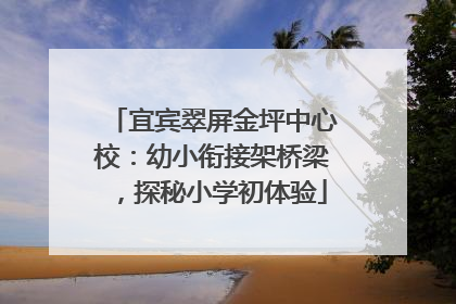 宜宾翠屏金坪中心校：幼小衔接架桥梁，探秘小学初体验