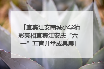 宜宾江安南城小学精彩亮相宜宾江安庆“六一”五育并举成果展