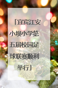 宜宾江安小坝小学第五届校园足球联赛顺利举行