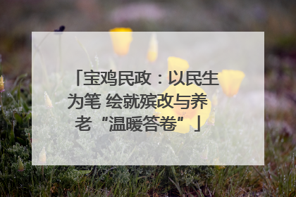 宝鸡民政：以民生为笔 绘就殡改与养老“温暖答卷”