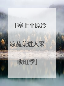 塞上平原冷凉蔬菜进入采收旺季