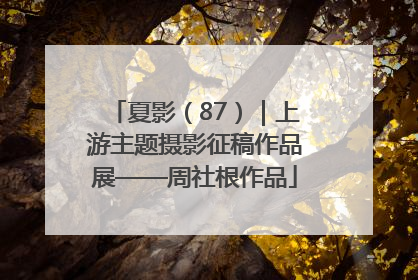 夏影（87）｜上游主题摄影征稿作品展——周社根作品