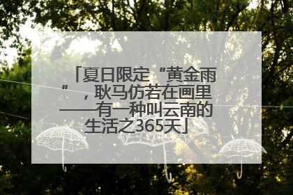 夏日限定“黄金雨”，耿马仿若在画里——有一种叫云南的生活之365天
