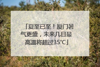 夏至已至！厦门暑气更盛，未来几日最高温将超过35℃