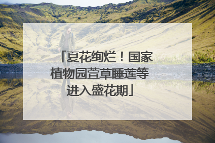 夏花绚烂！国家植物园萱草睡莲等进入盛花期