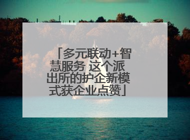 多元联动+智慧服务 这个派出所的护企新模式获企业点赞