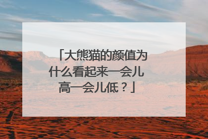大熊猫的颜值为什么看起来一会儿高一会儿低？