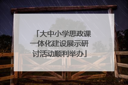 大中小学思政课一体化建设展示研讨活动顺利举办