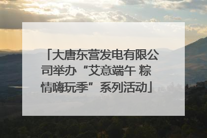 大唐东营发电有限公司举办“艾意端午 粽情嗨玩季”系列活动