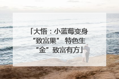 大悟：小蓝莓变身“致富果” 特色生“金”致富有方