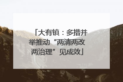 大有镇：多措并举推动“两清两改两治理”见成效