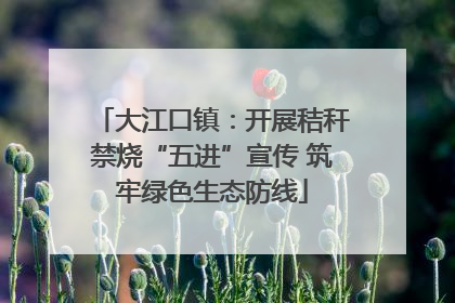 大江口镇：开展秸秆禁烧“五进”宣传 筑牢绿色生态防线