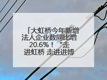 大虹桥今年新增法人企业数同比增20.6%！“走进虹桥 走进进博”活动举办