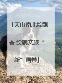 天山南北粽飘香 绘就文旅“新”画卷