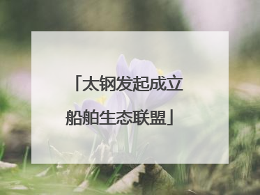 太钢发起成立船舶生态联盟