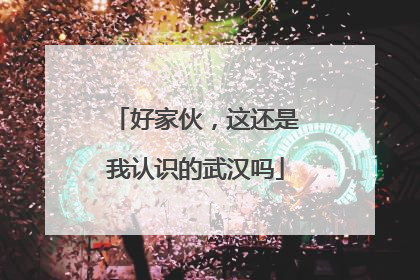 好家伙，这还是我认识的武汉吗