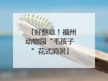 好惬意！福州动物园“毛孩子”花式消暑