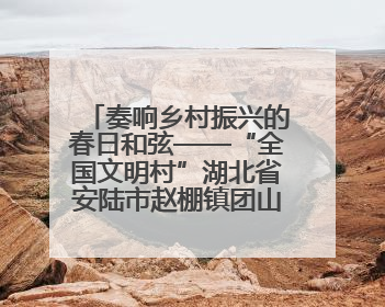 奏响乡村振兴的春日和弦——“全国文明村”湖北省安陆市赵棚镇团山村农文旅融合发展见闻