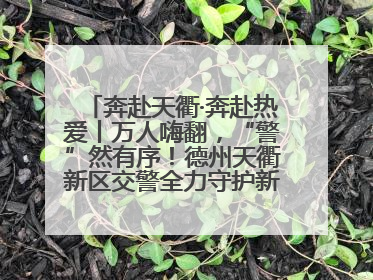 奔赴天衢·奔赴热爱丨万人嗨翻，“警”然有序！德州天衢新区交警全力守护新青年音乐节