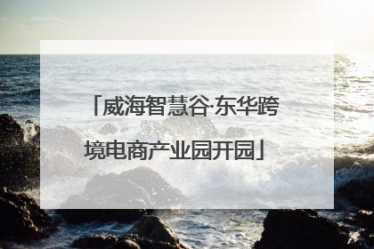 威海智慧谷·东华跨境电商产业园开园