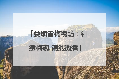 娄烦雪梅绣坊：针绣梅魂 锦缎凝香