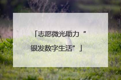 志愿微光助力“银发数字生活”