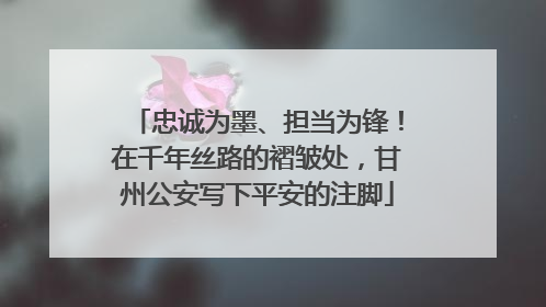 忠诚为墨、担当为锋！在千年丝路的褶皱处，甘州公安写下平安的注脚