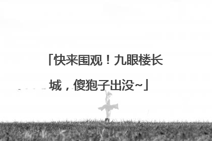快来围观！九眼楼长城，傻狍子出没~
