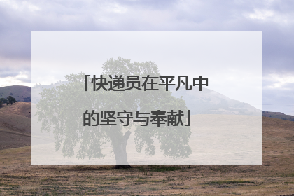 快递员在平凡中的坚守与奉献