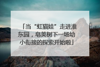 当“虹猫娃”走进淮东园，皂荚树下一场幼小衔接的探索开始啦
