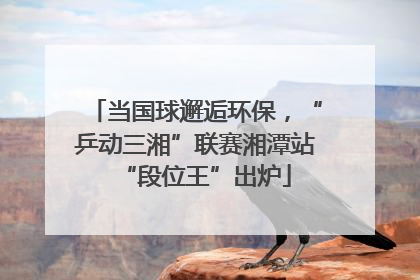当国球邂逅环保，“乒动三湘”联赛湘潭站“段位王”出炉