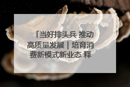 当好排头兵 推动高质量发展｜培育消费新模式新业态 释放经济增长新动能